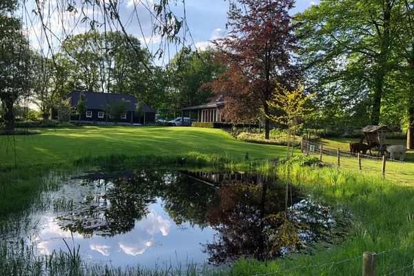 Landelijke tuin met natuurvijver